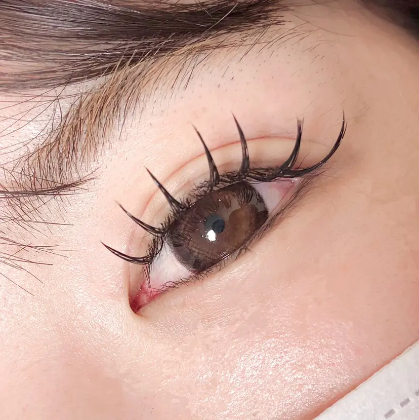 eyelash/ Coaの掲載