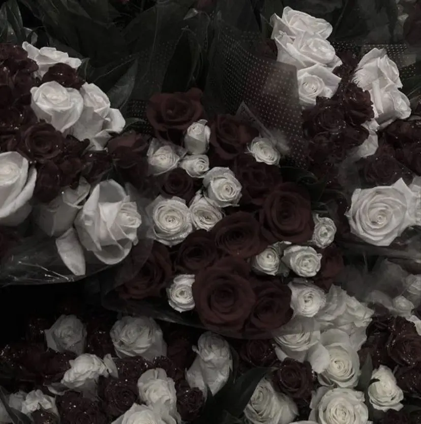 こだいら ひめかの掲載