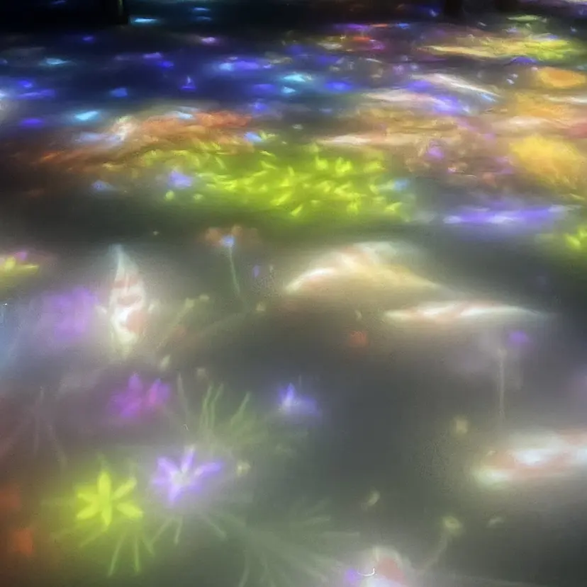 上田 華音の掲載