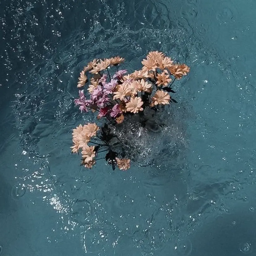 🩶eyelist .raimu🩶の掲載