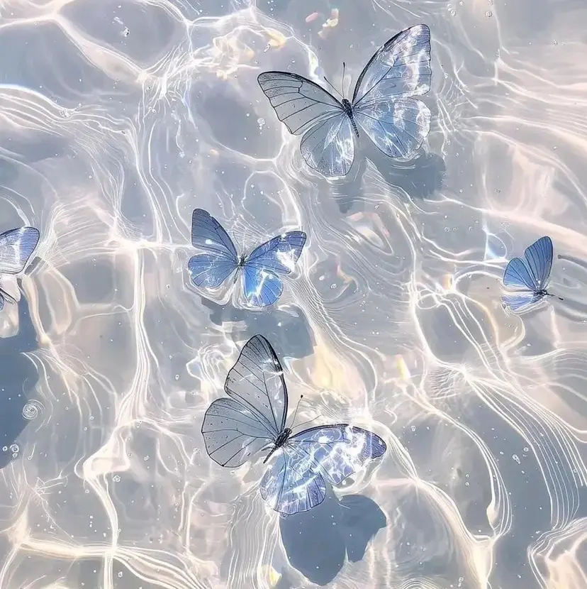 矢代 彩華の掲載