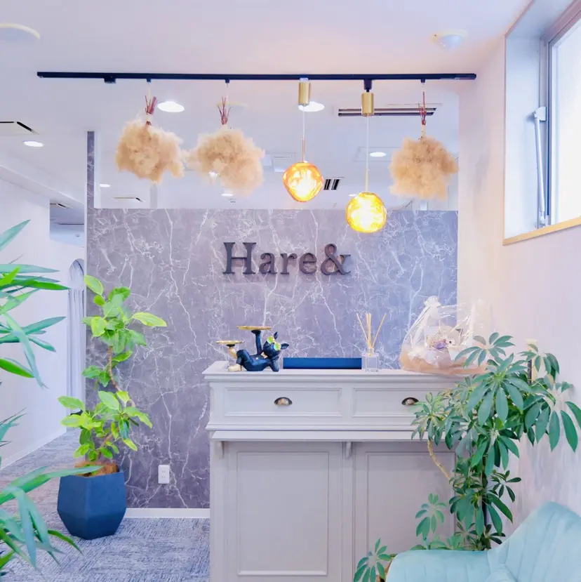 Hare& やの みずきの掲載