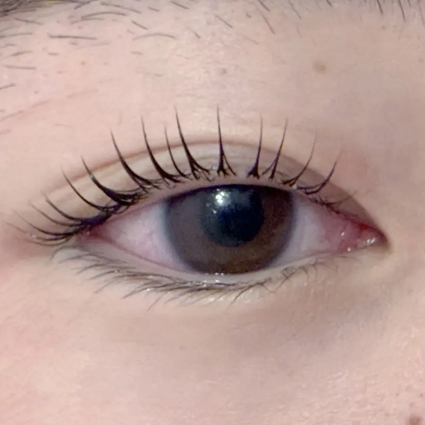 平田 はなの掲載