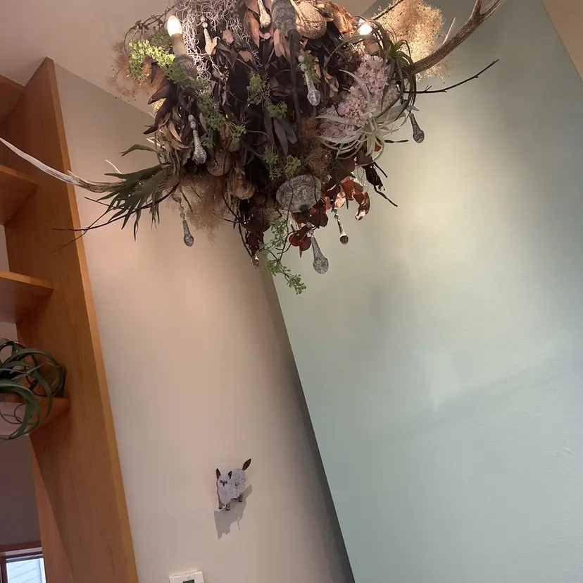 monami 鈴木 茉由奈の掲載