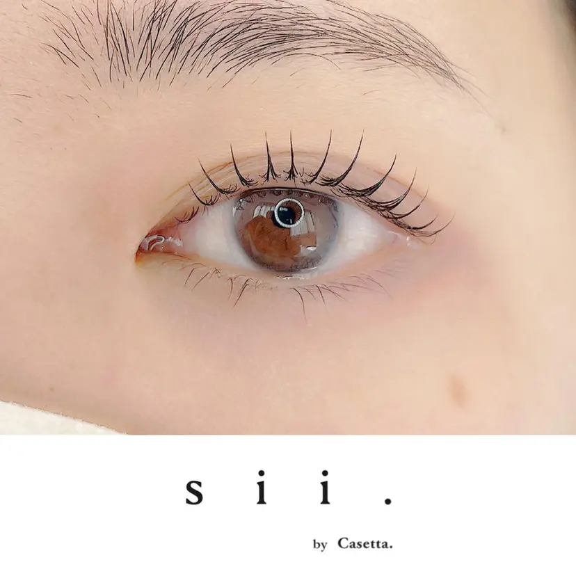 sii. eyelashの掲載