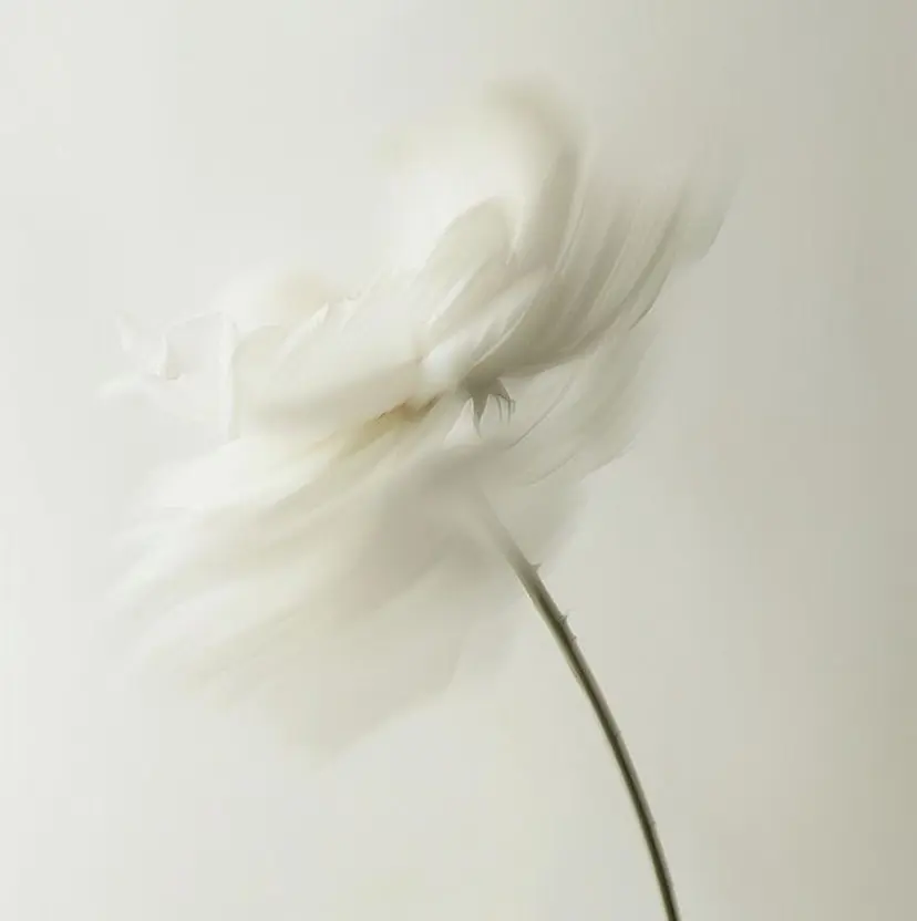 Heclats 銀座の掲載