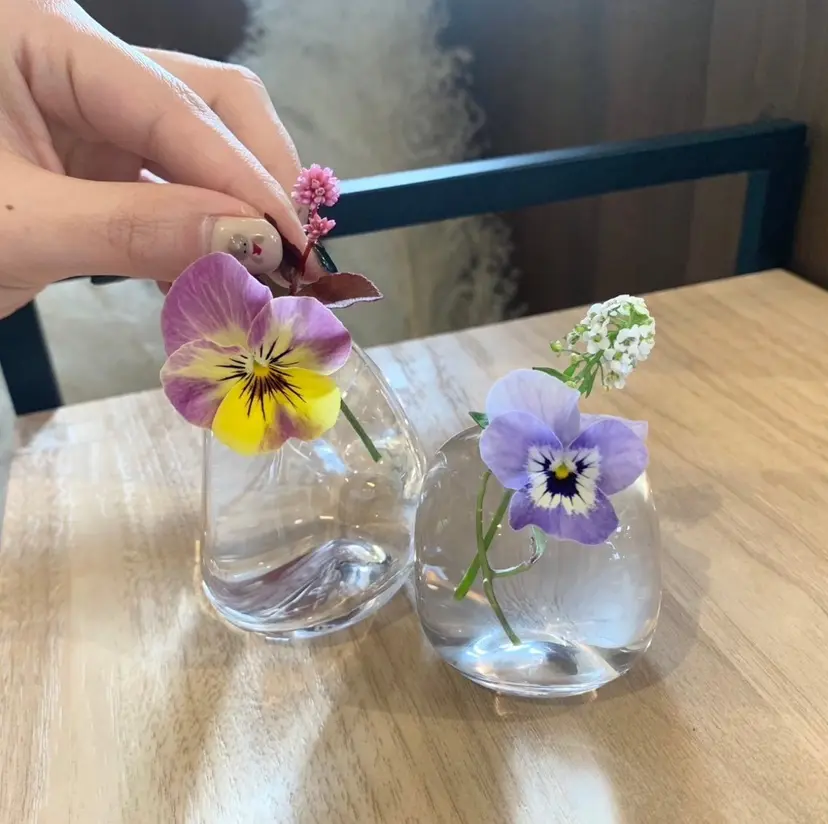 細江 桃加の掲載