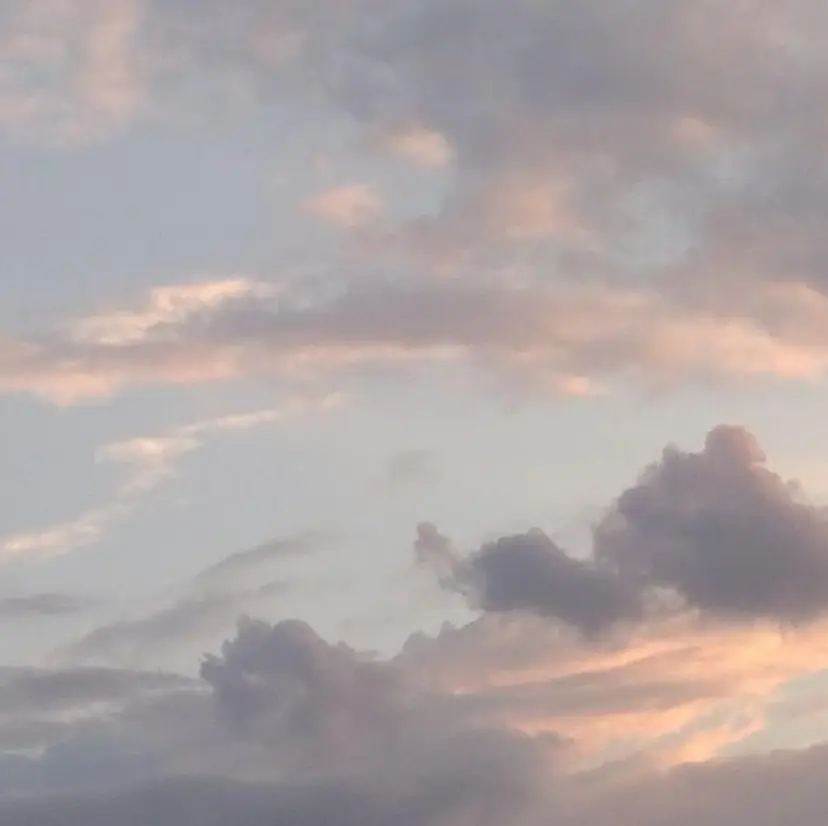 Mavie Karin.の掲載