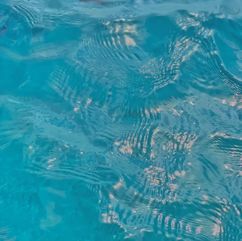 🍳しながわ はるか🍳の掲載