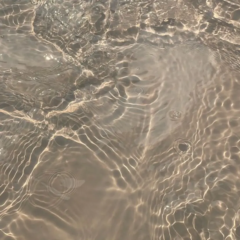 ハイトーン RINO🌺の掲載