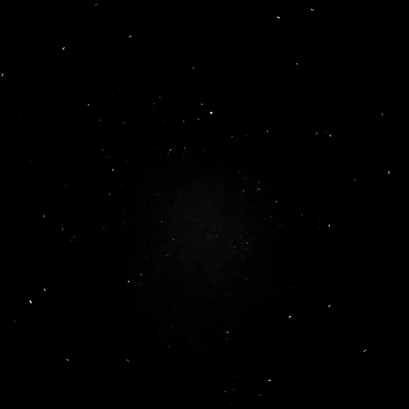 Bianca Yoshidaの掲載