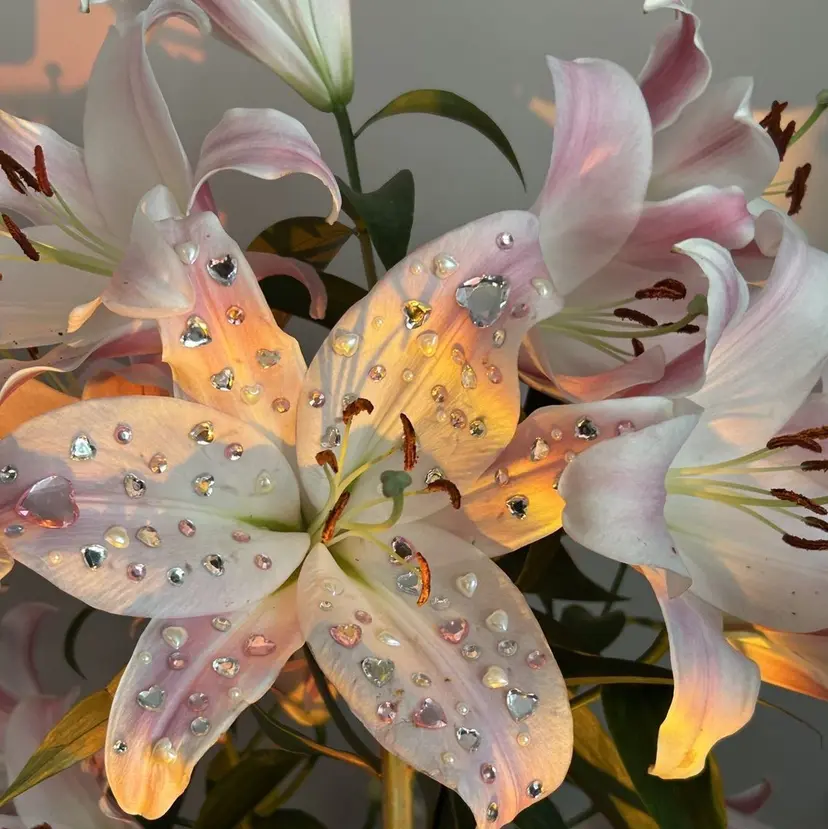 中沢 憧子の掲載