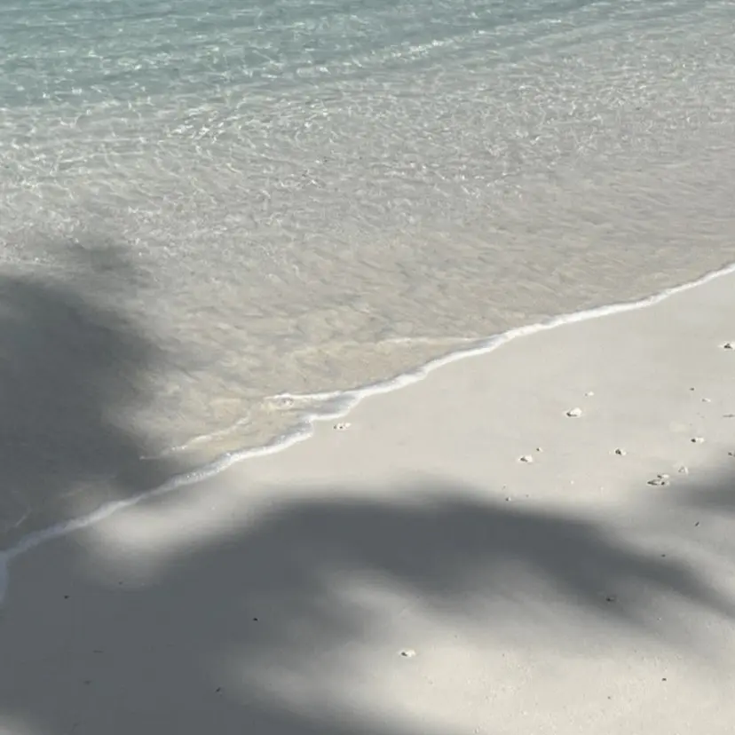 BIANCA ✴︎ YURIAの掲載