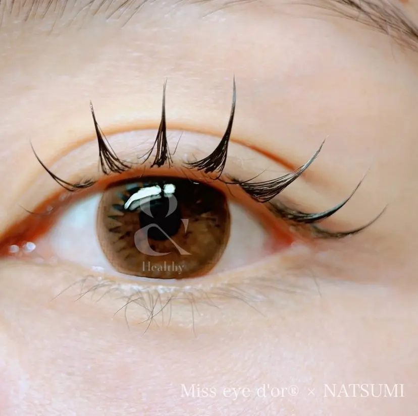 hashimoto sachikoの掲載