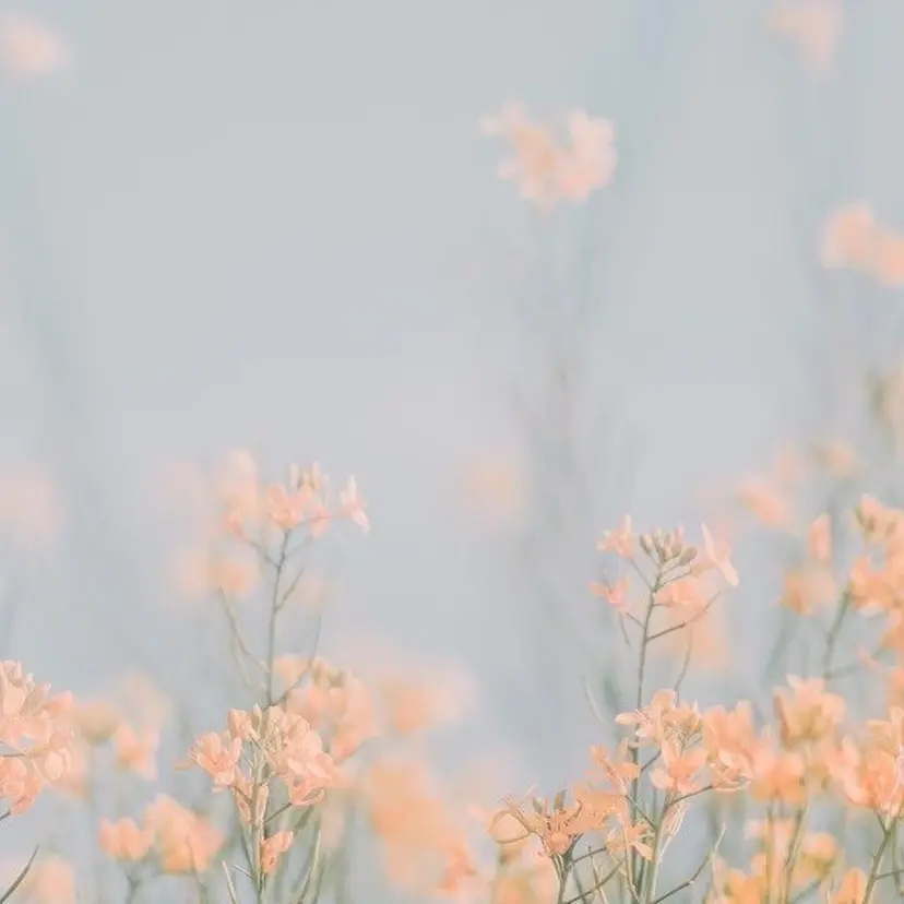 永瀬 友賀の掲載