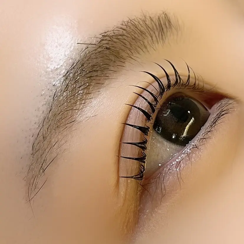 芳川 恵子の掲載