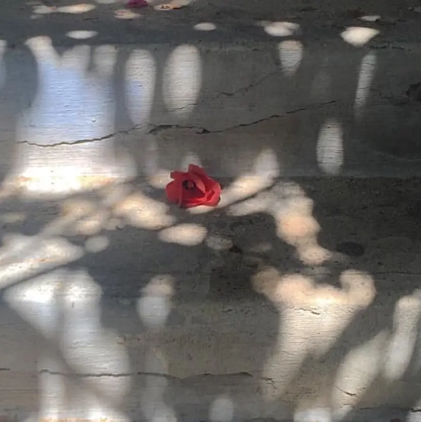 カットモデル募集中 🪐✩ 大久保 那奈の掲載