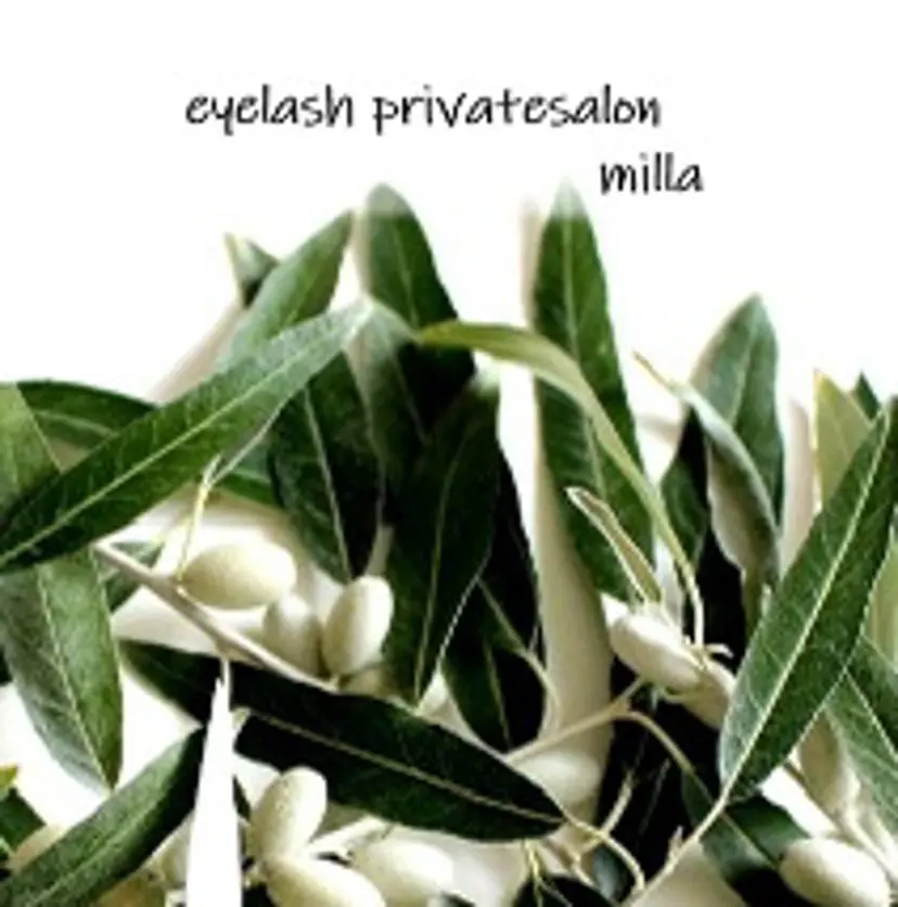 milla Tanakaの掲載