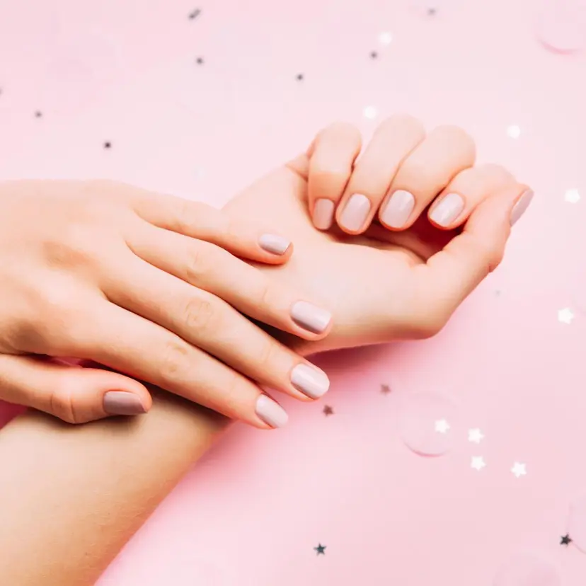 辻 茉梨可の掲載