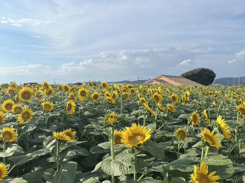 alice tokyo 玉木★の掲載