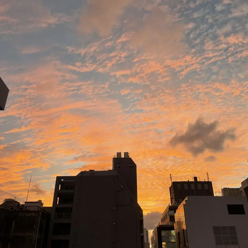 Lisa/wカラー /デザインカラーの掲載