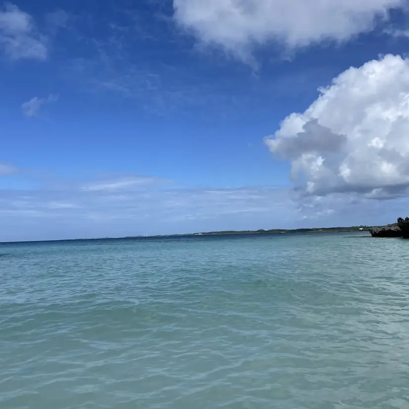 nanami P-BOXの掲載