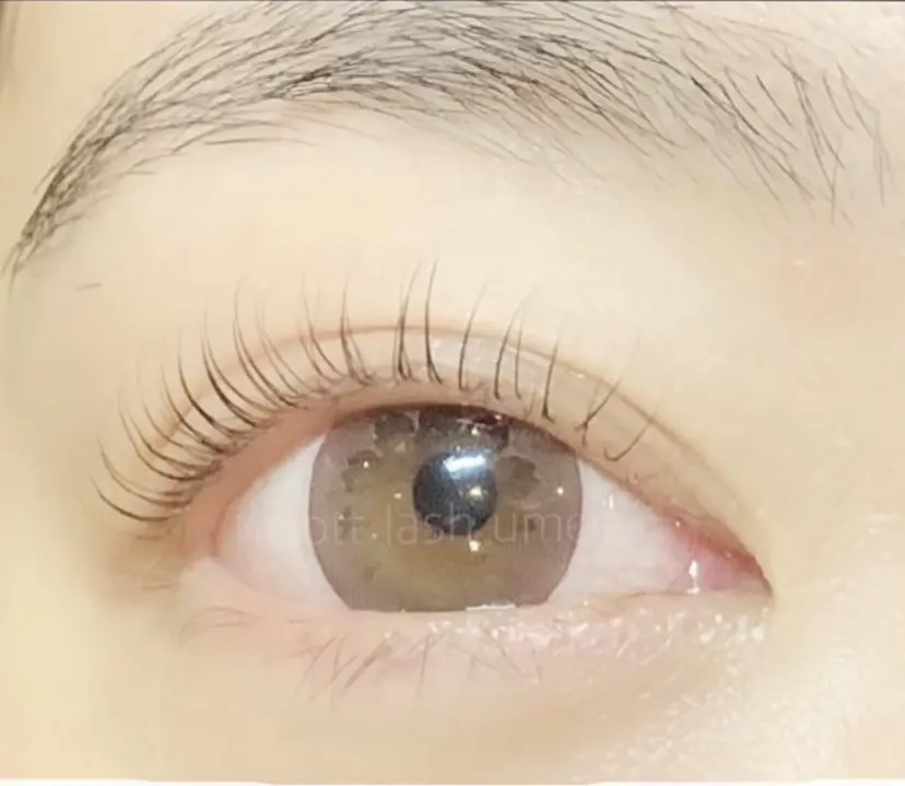 Sakurablow 井上の掲載