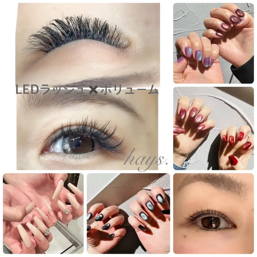 hays. eyelashの掲載
