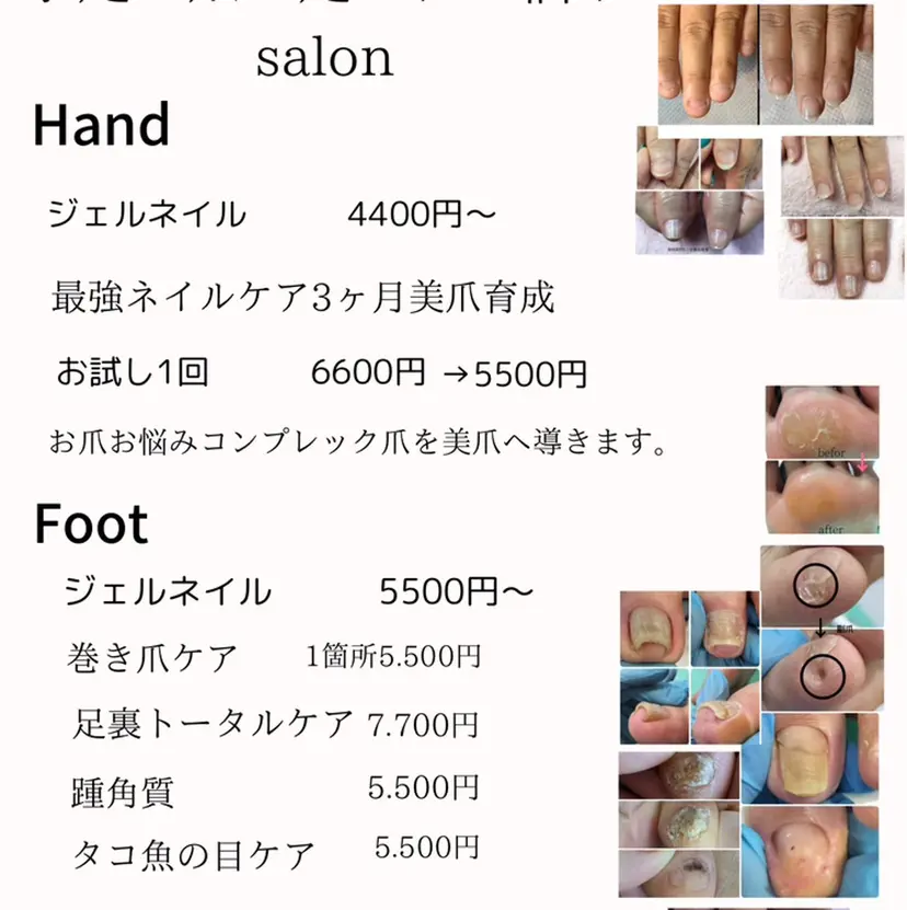 和賀井 恵理の掲載