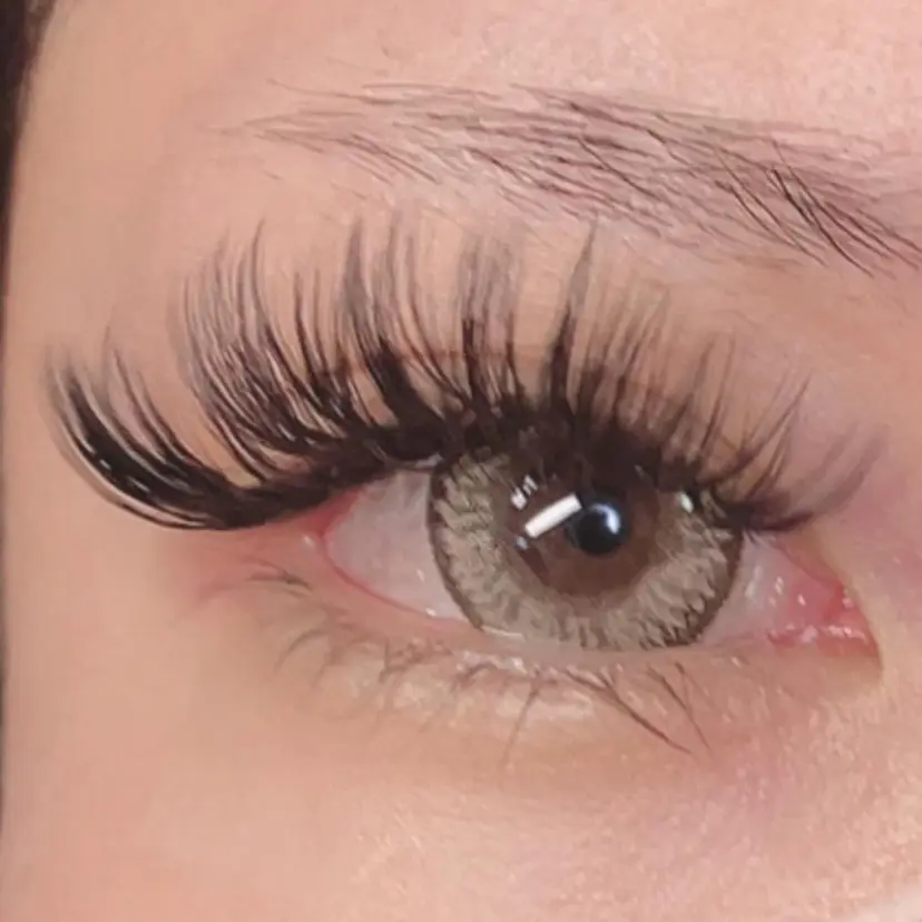 linda lashesの掲載