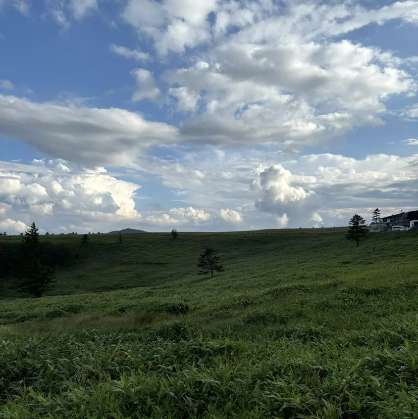 石橋 未有の掲載