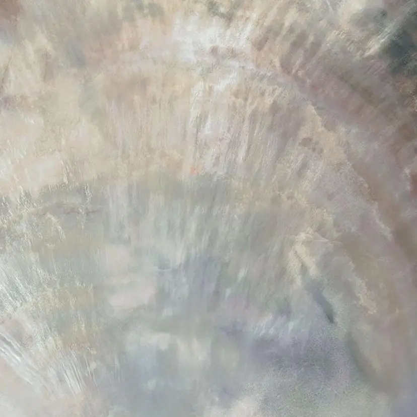 SOL/NAGOYA ANNAの掲載