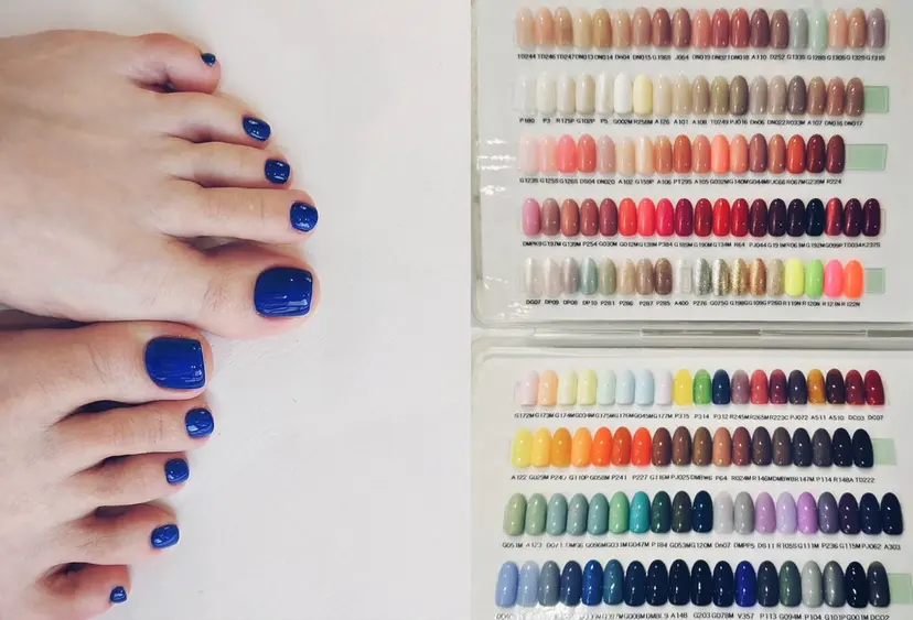 T ハルカの掲載