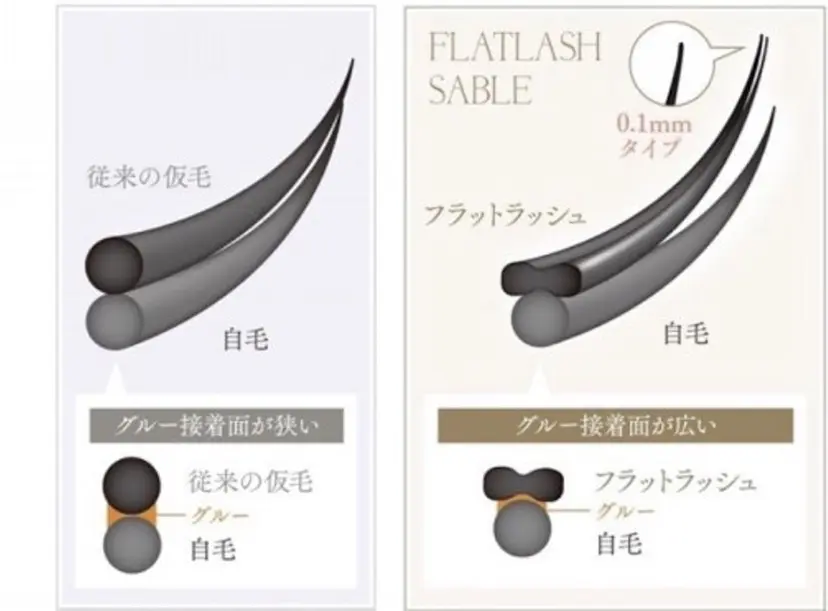 sereno セレーノの掲載