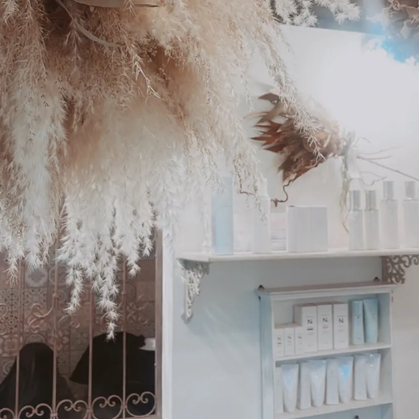 maya マヤの掲載