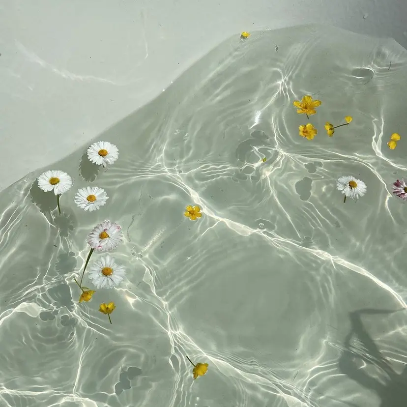 Nizihair / Mizuki.*✿の掲載