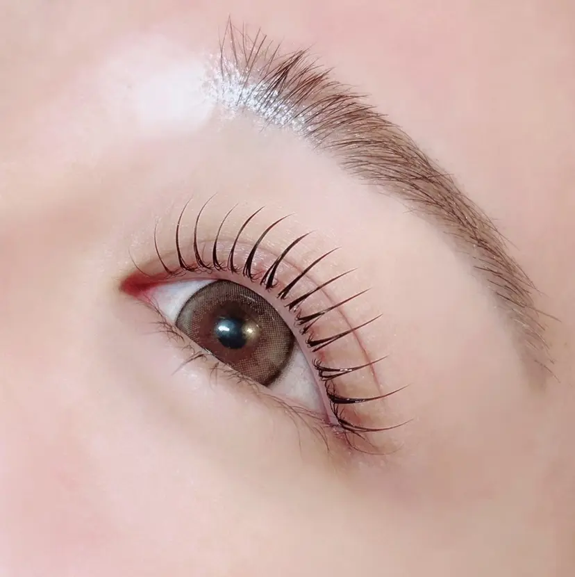 TOPBROW 徳永の掲載