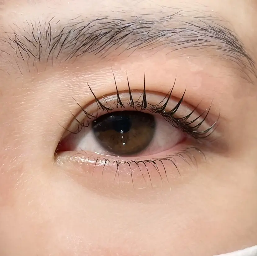 櫻井 怜華の掲載