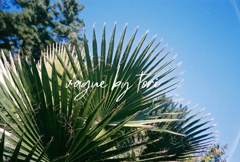 vague 藤崎 陽子の掲載