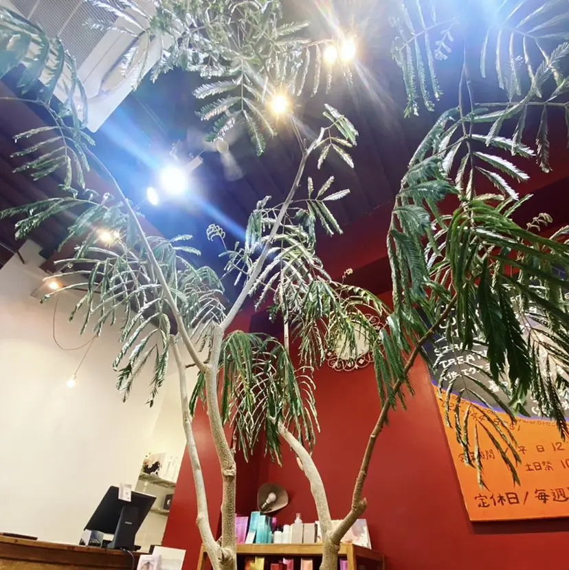 ORe'S HAIR BE GLaDユウナの掲載