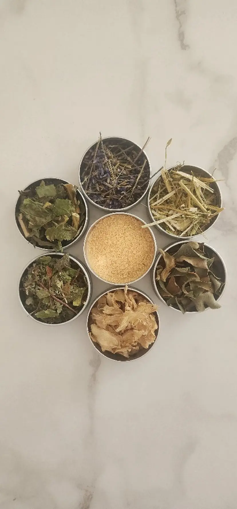 安井 佳那の掲載