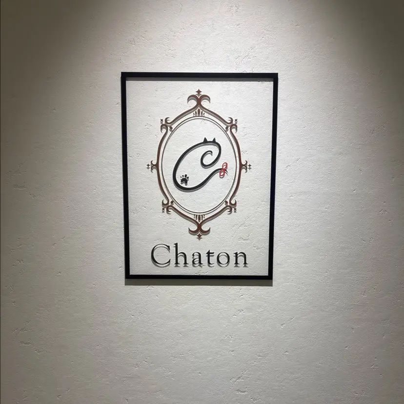 chaton𓂃𓈒 MIKAMIの掲載