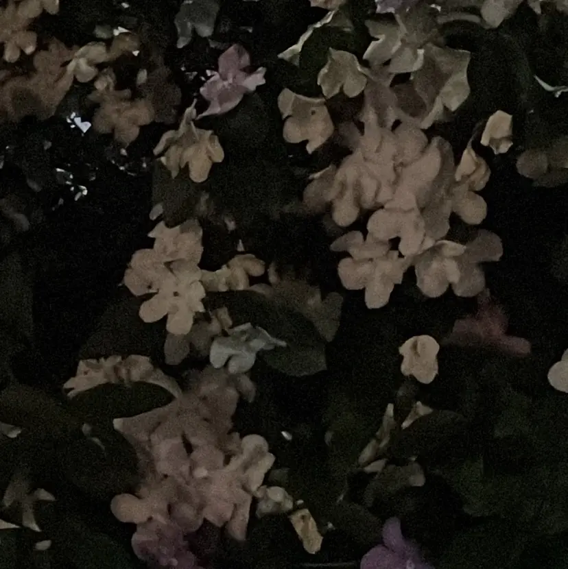 野村矩樂/パーマ /縮毛矯正の掲載