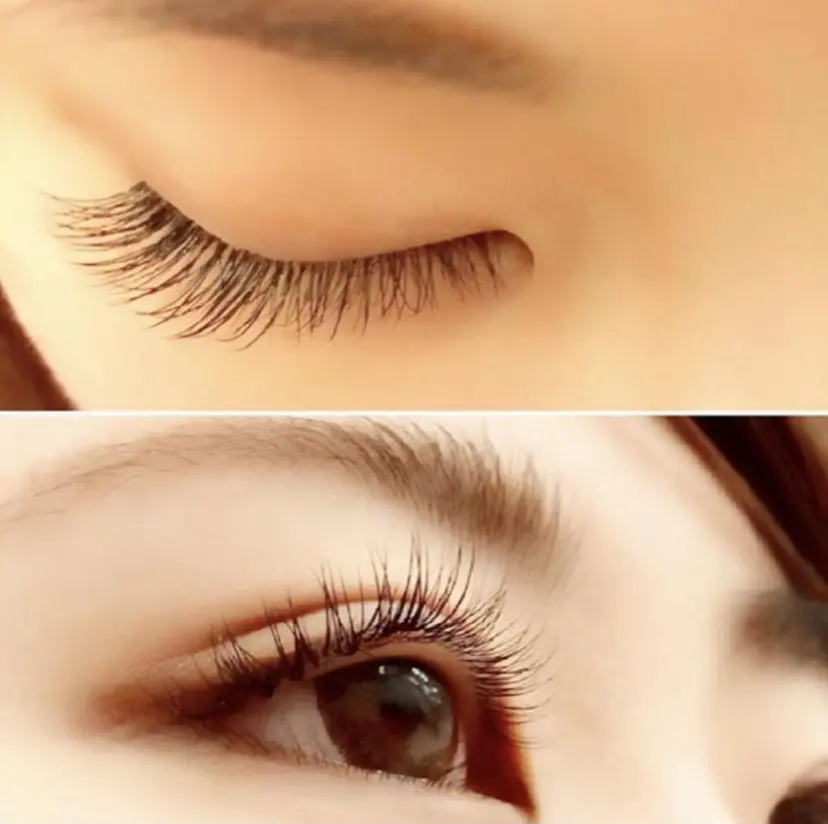 新田 明子の掲載