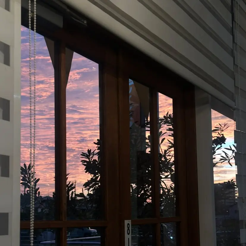 福井 咲羅の掲載