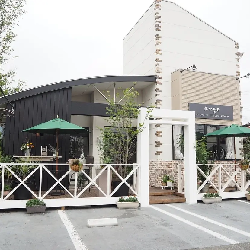 疋田 心優の掲載