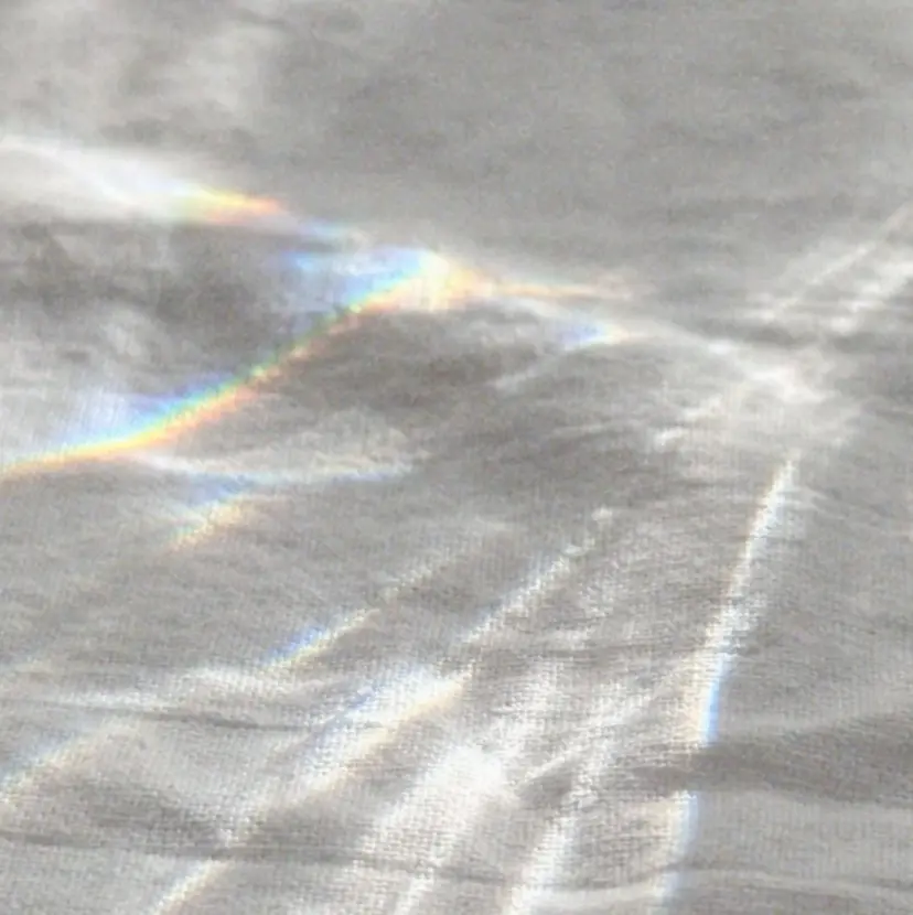 Bianca 大名店 MIYAJIMAの掲載