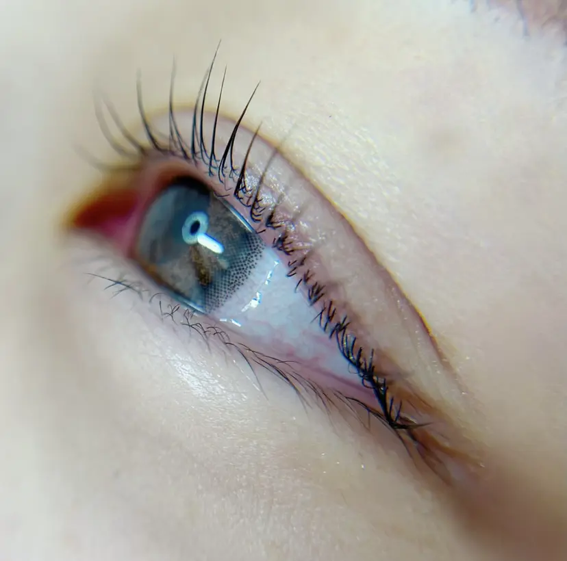 neu'' /ノイ まつ毛　salonの掲載