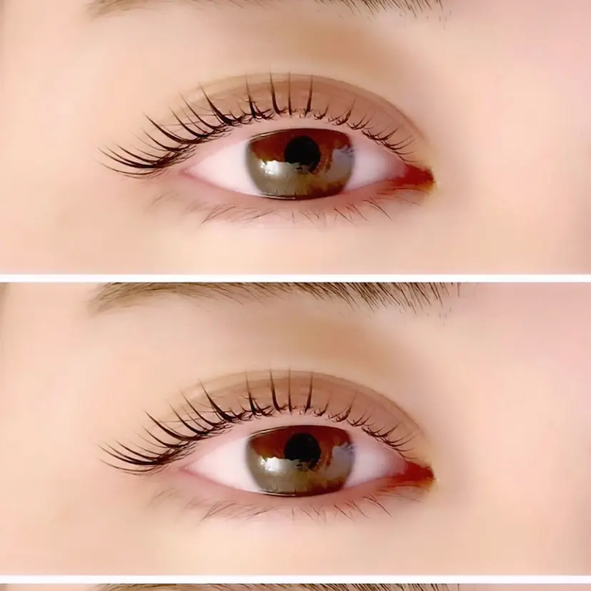 🏅国際大会受賞 Chouchouの掲載