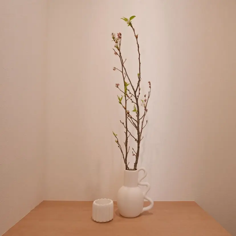 カラダとココロ 癒されほっと一息の掲載